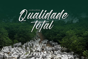LEILÃO VIRTUAL QUALIDADE TOTAL